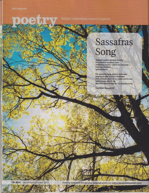 TK-Sassafras Song